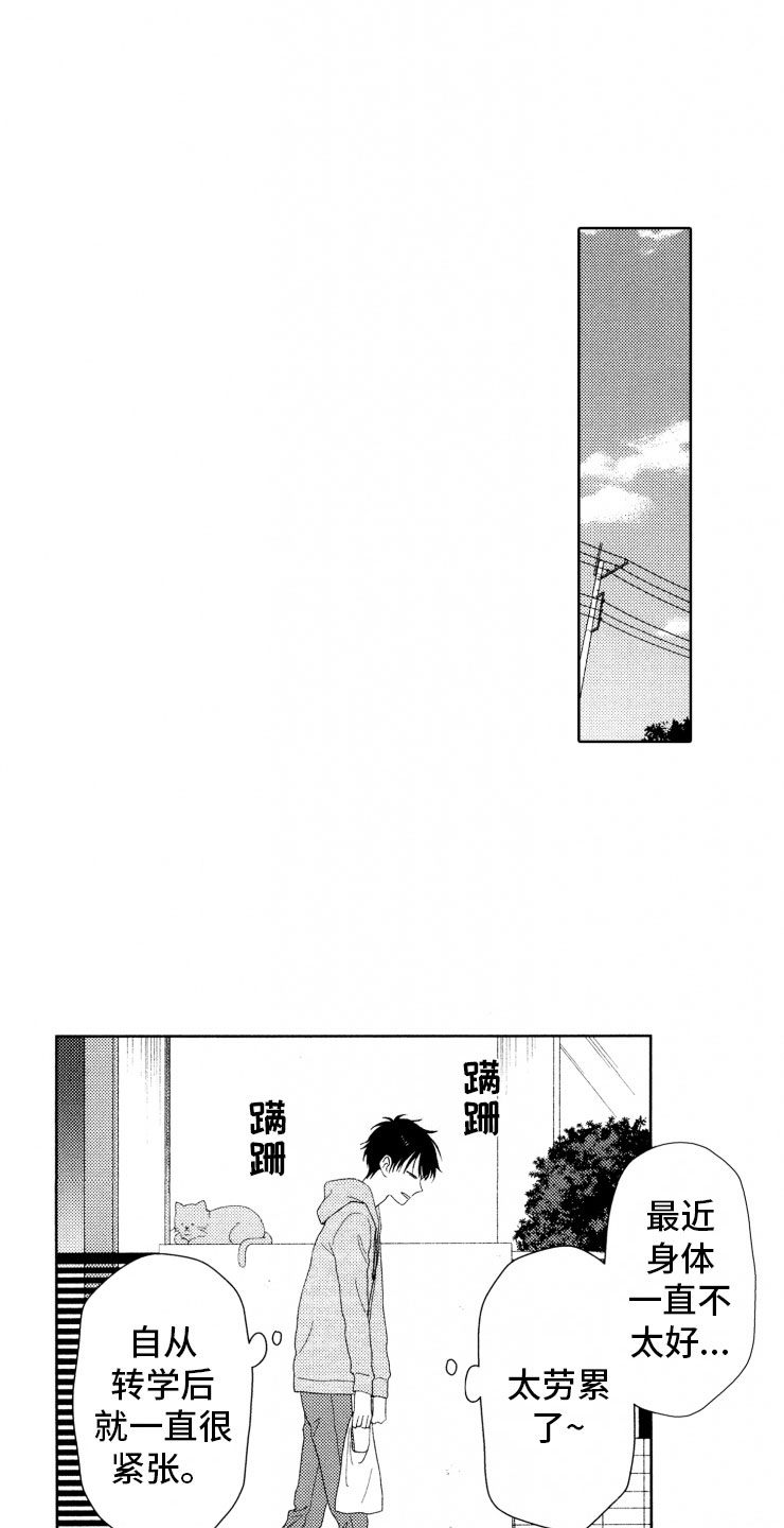 第8章：上树6
