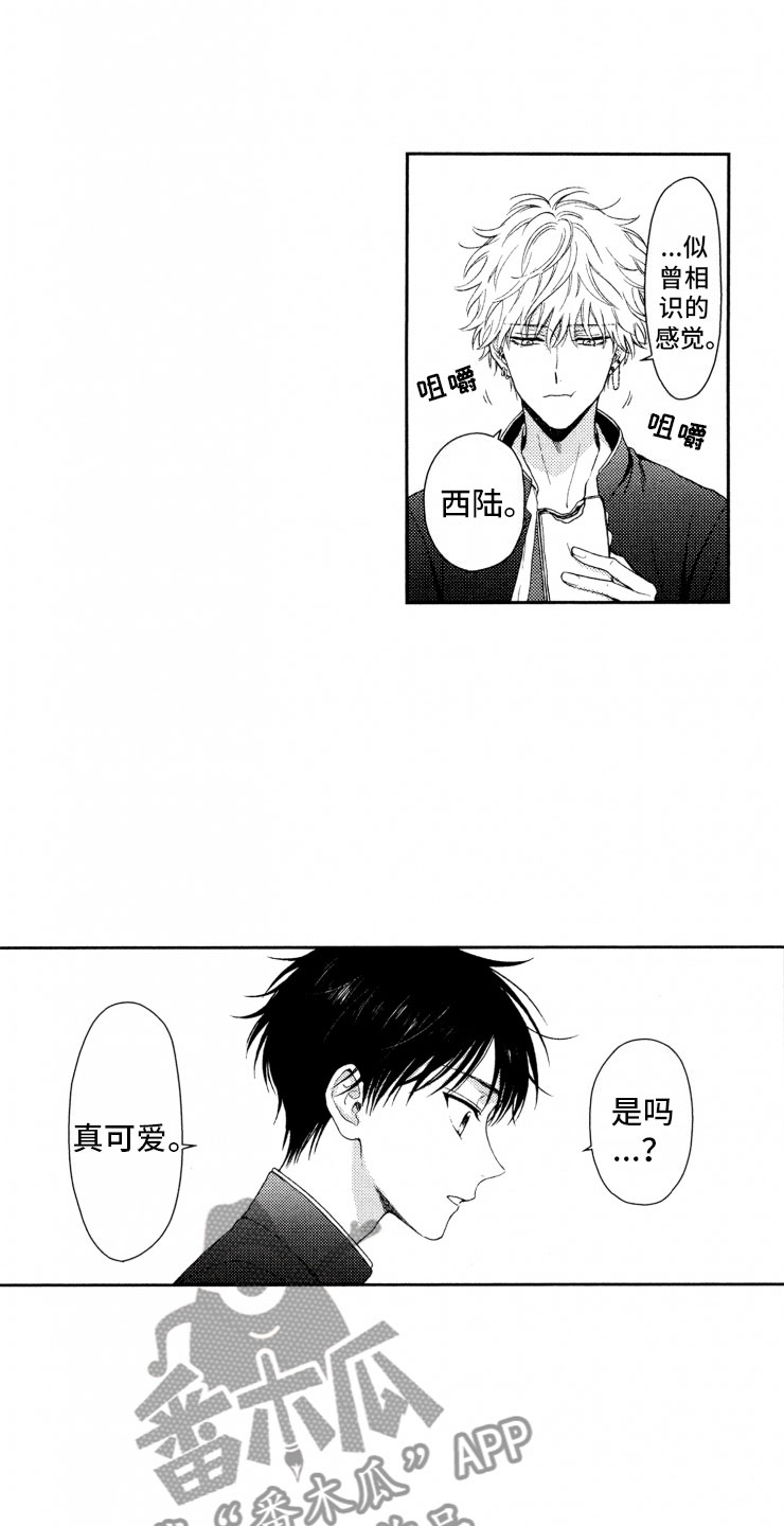 第18章：解决15