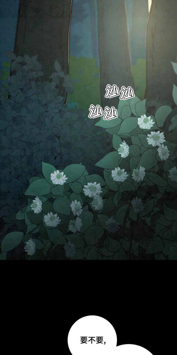 第48章：星星下凡8