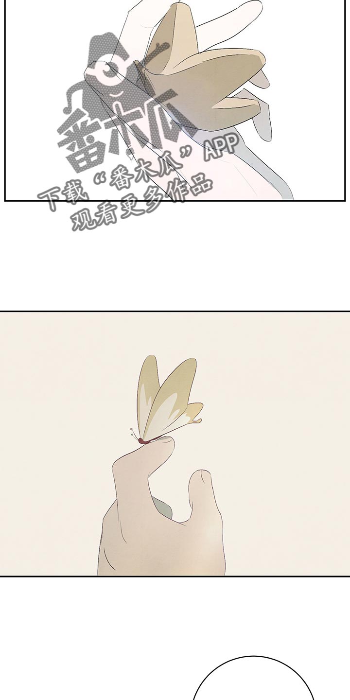 第46章：我一定会带你去看！9