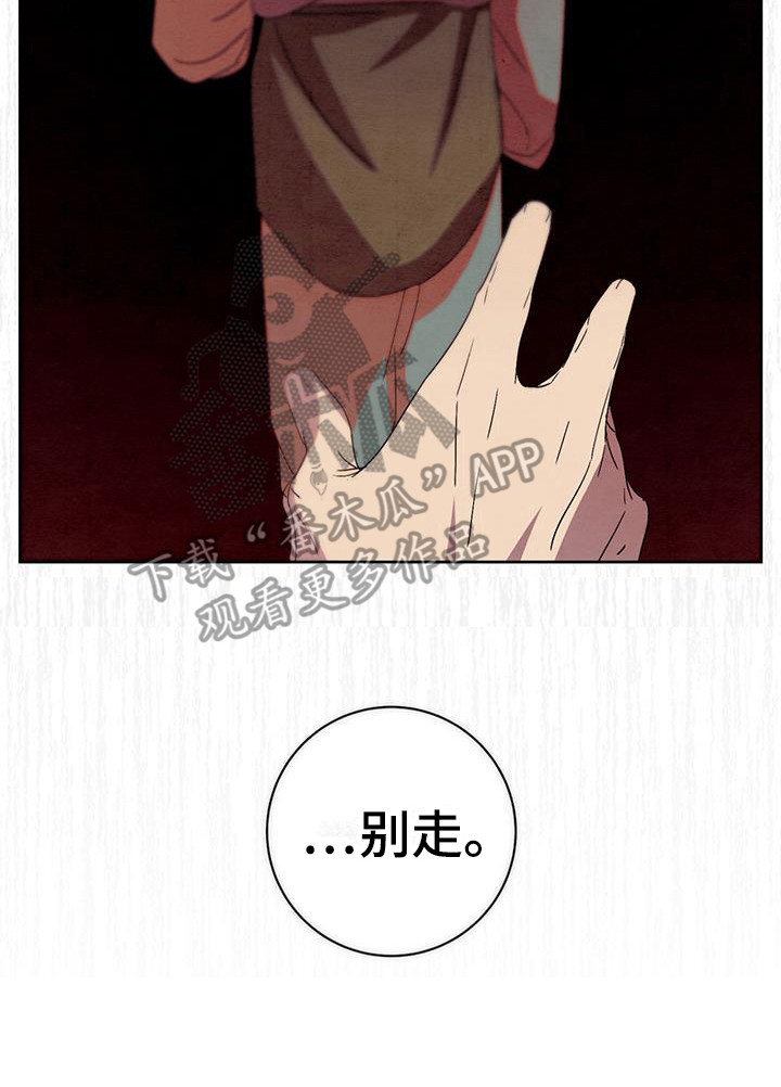 第19章：求救20