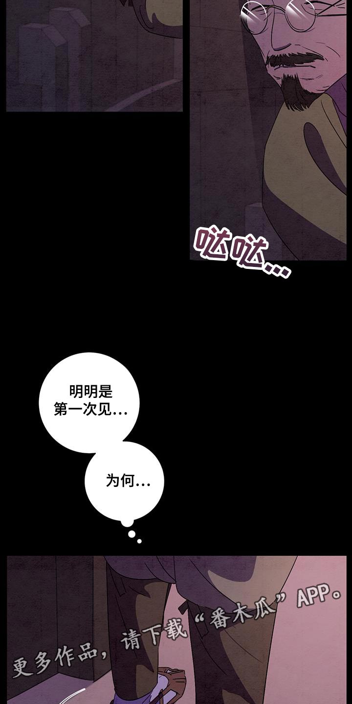 第54章：相貌特征21