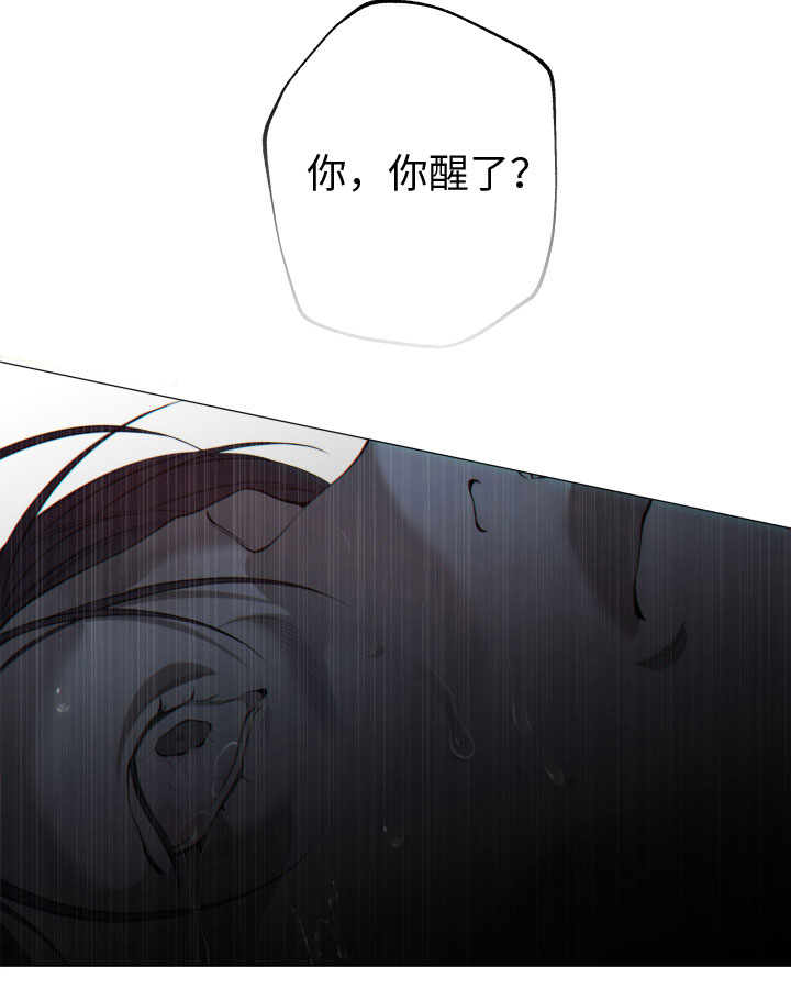 第26章：新羊头16