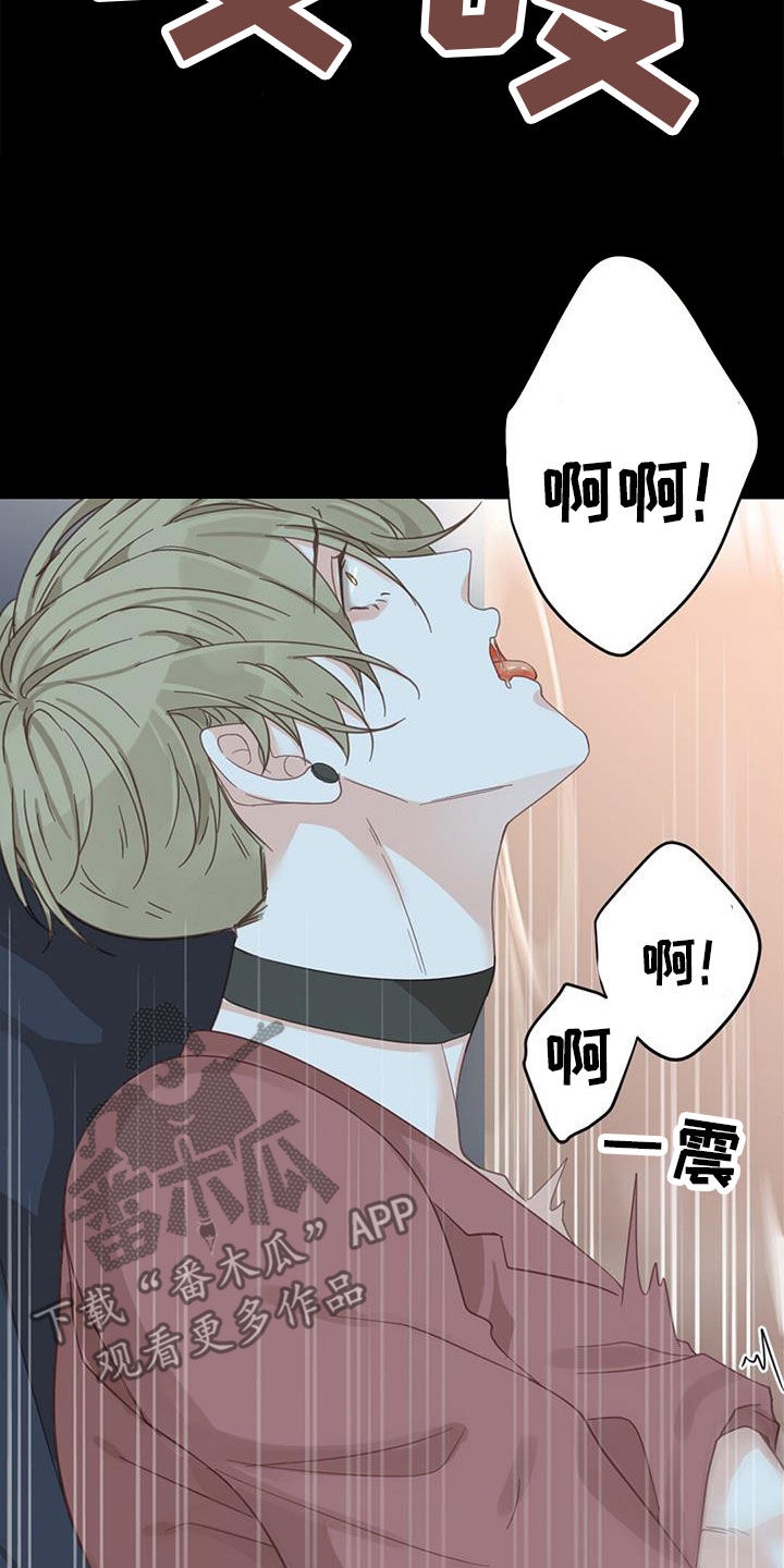 第79章：【番外】不试试吗31