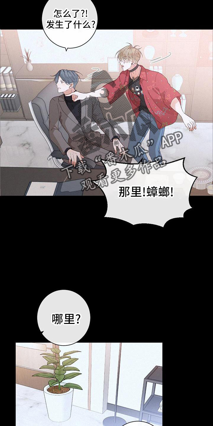 第60章：花样2