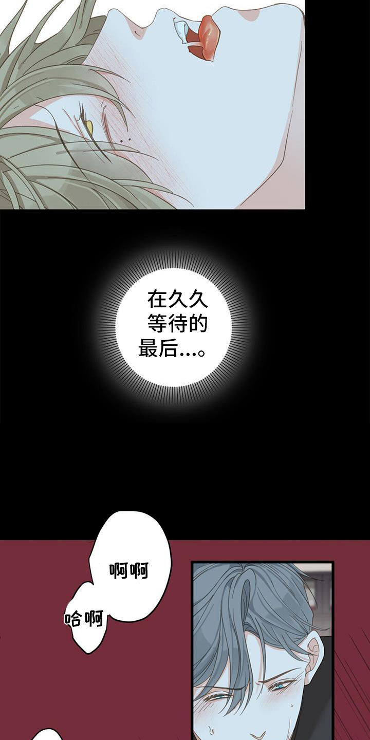 第79章：【番外】不试试吗40
