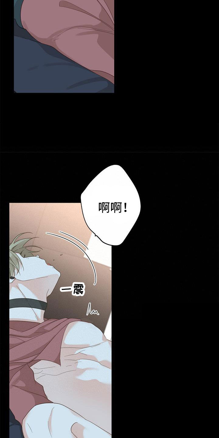 第79章：【番外】不试试吗35