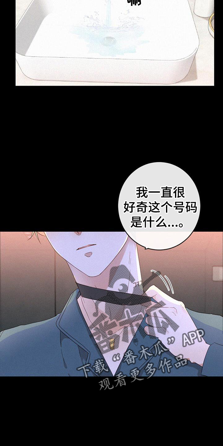 第53章：记忆4