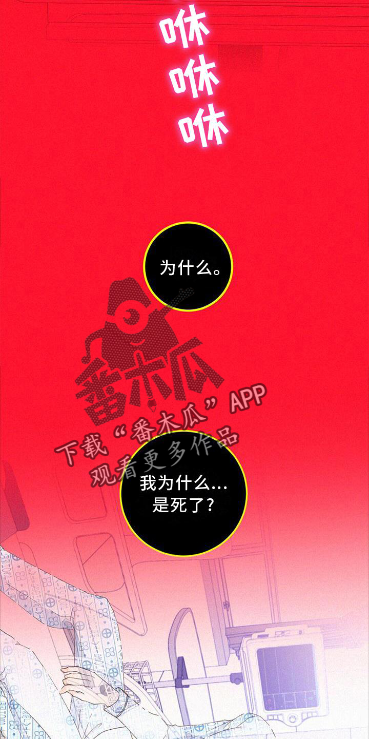第51章：捉迷藏15