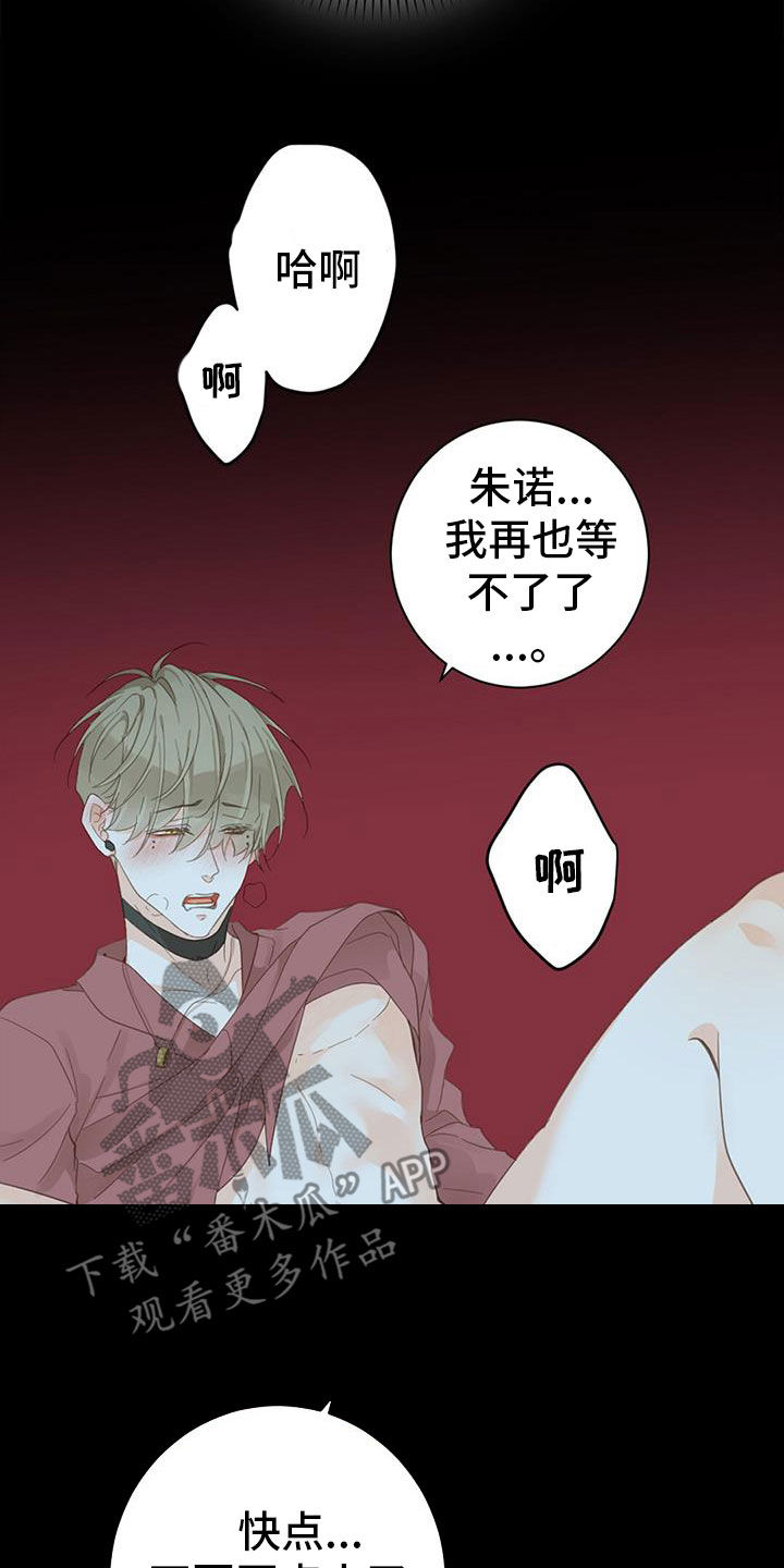 第79章：【番外】不试试吗25