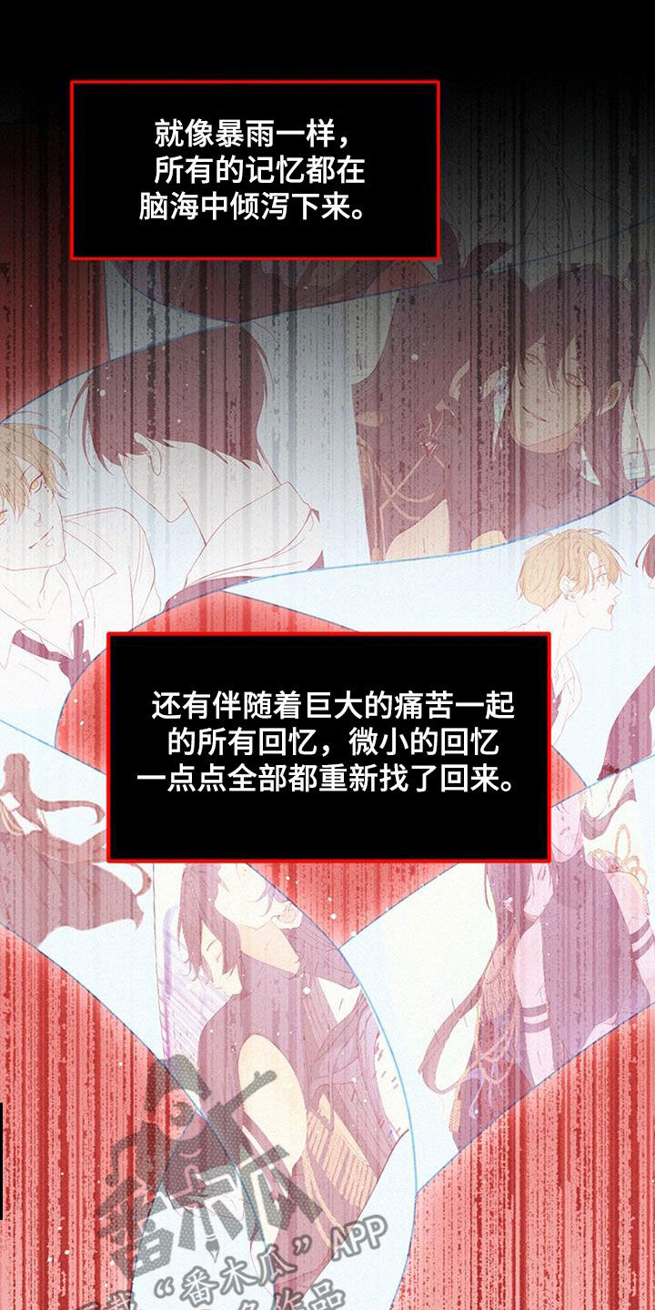 第73章：找回记忆26