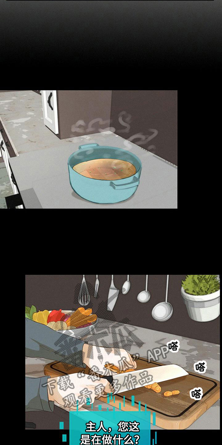 第17章：做饭13