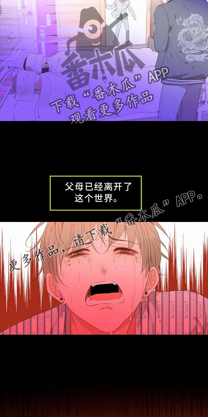 第37章：真相10
