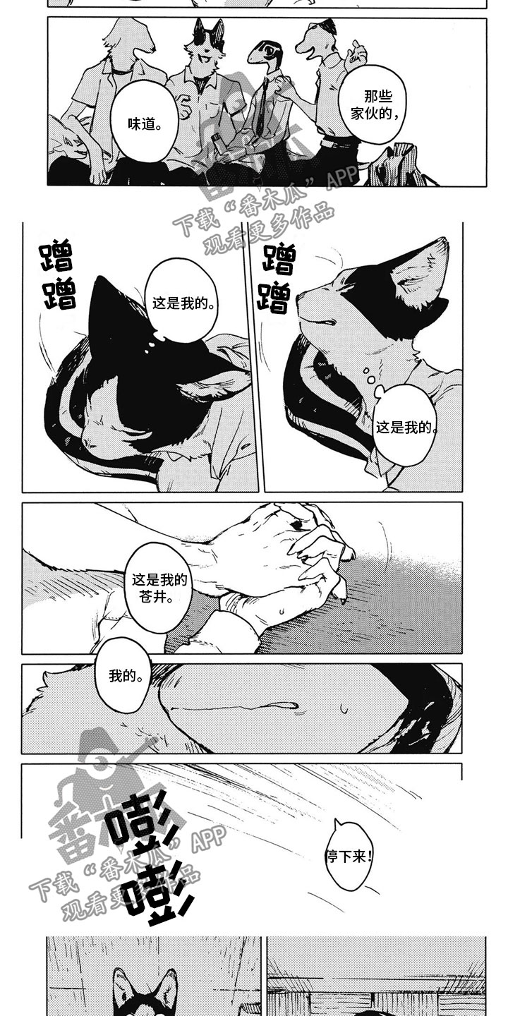 第21章：停下来4