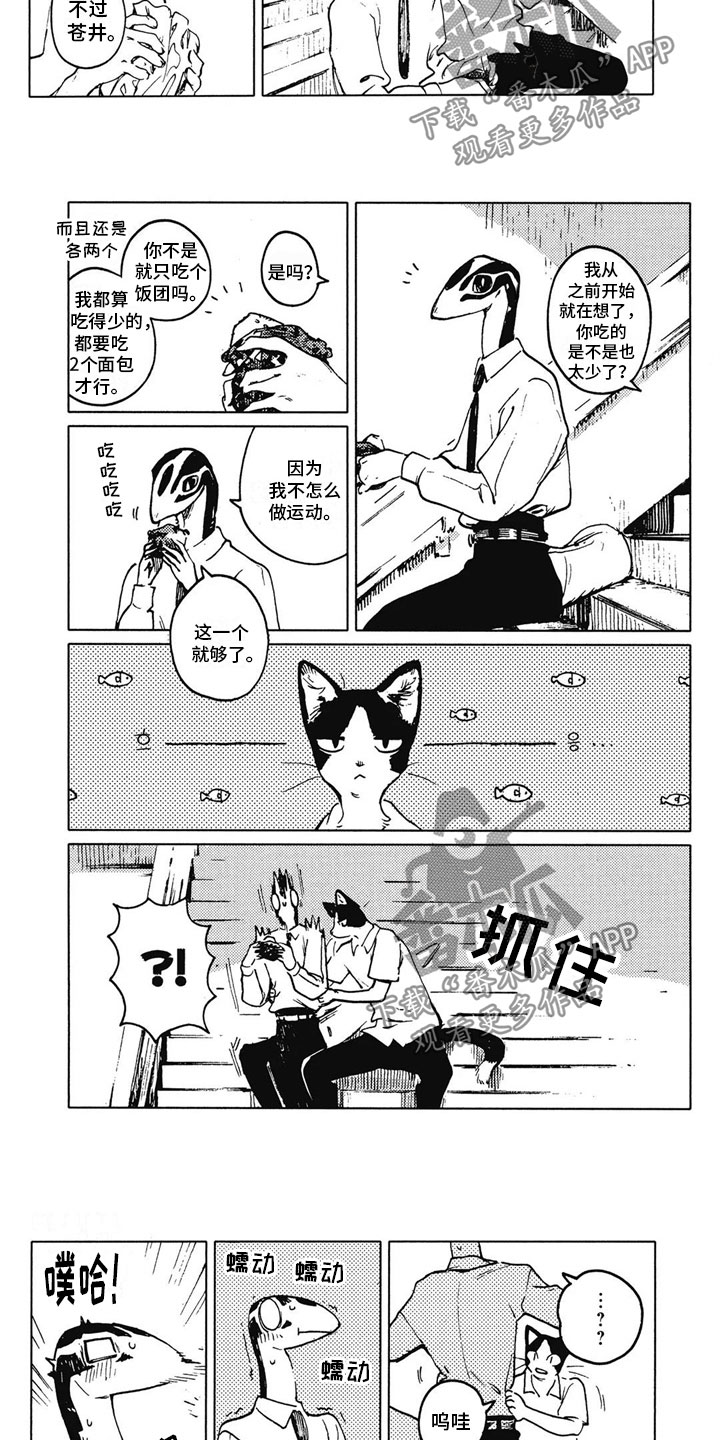 第10章：不讨厌2