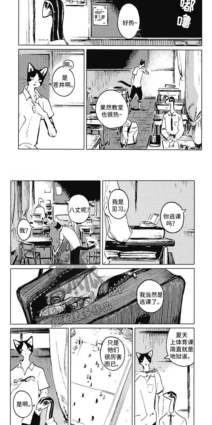 第7章：邀请1