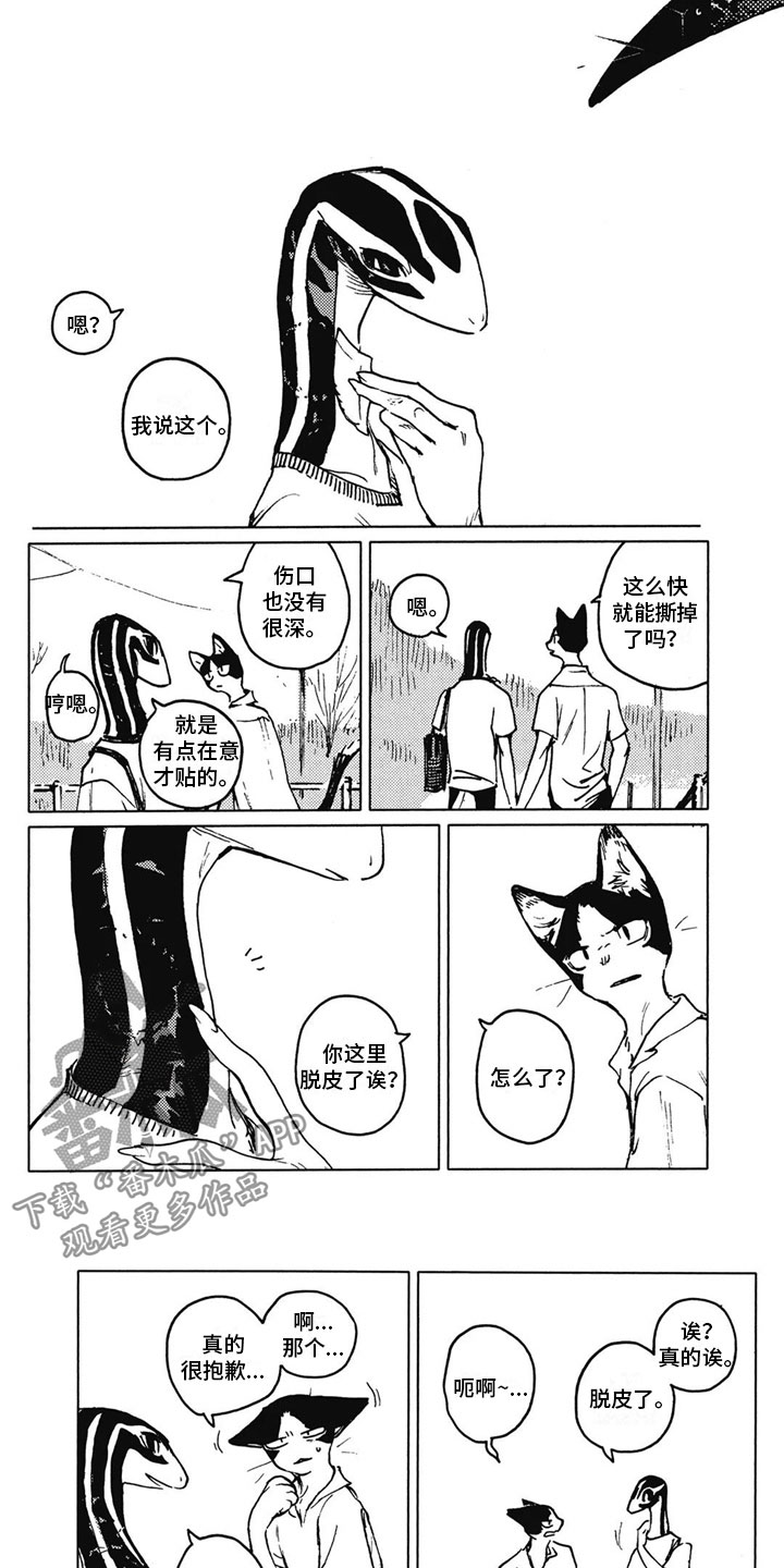 第33章：温暖（完结）5