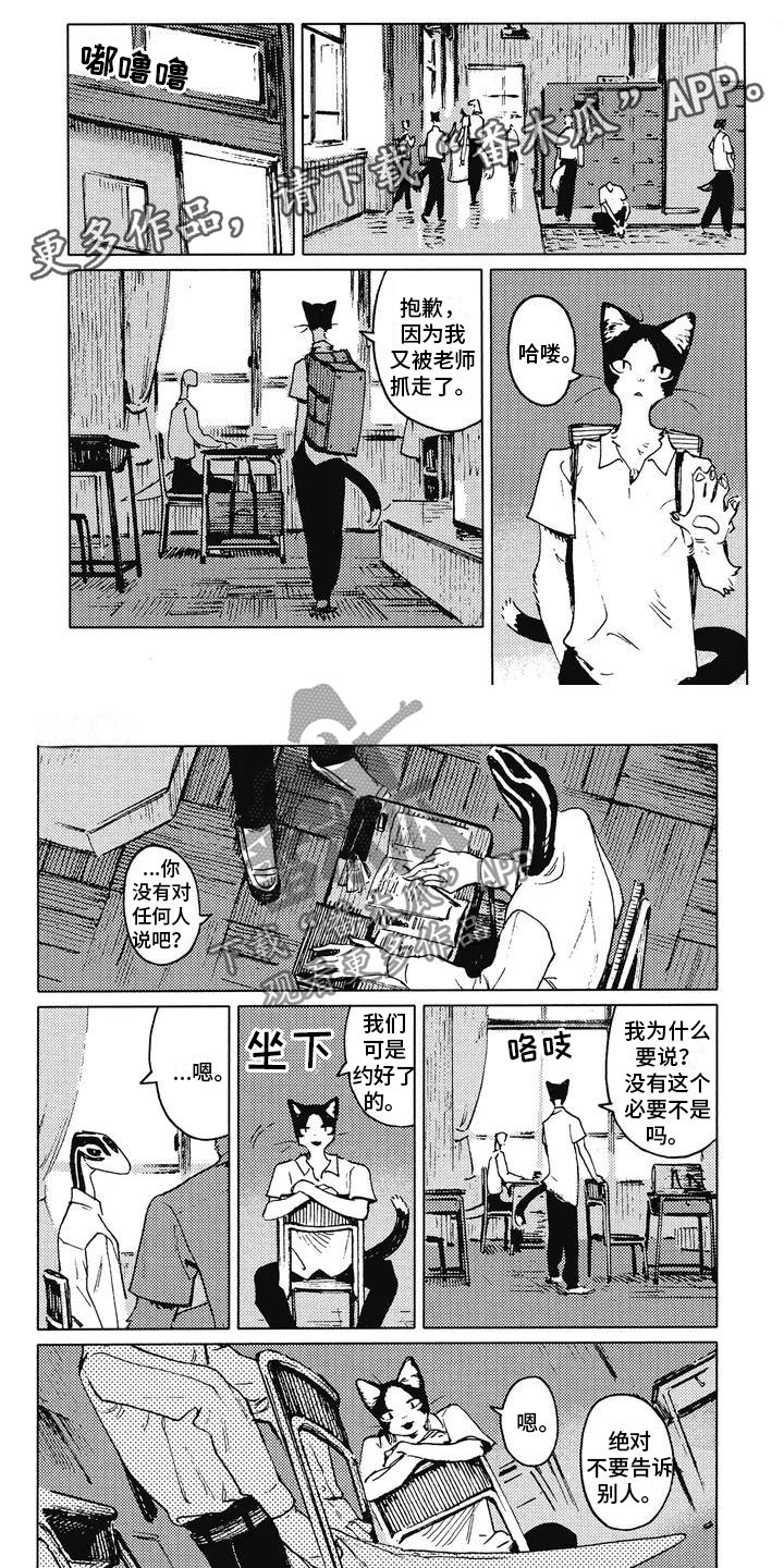 第5章：摸尾巴0
