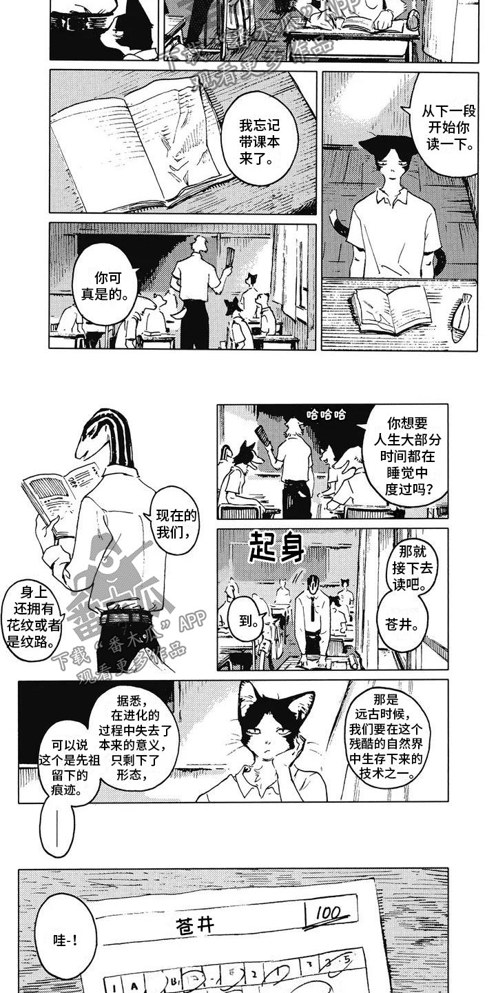 第4章：议论纷纷1