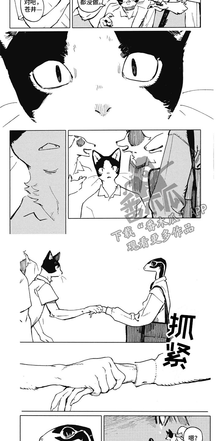 第14章：好奇3