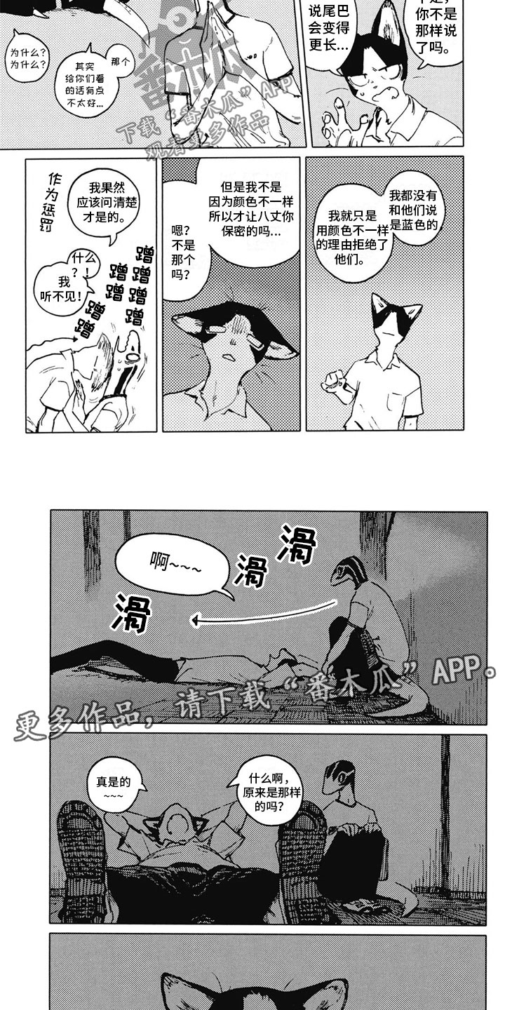 第27章：解释3