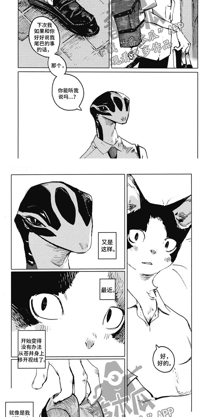 第17章：很在意1