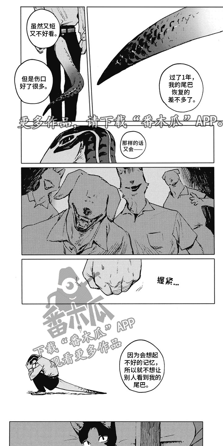 第31章：温暖0