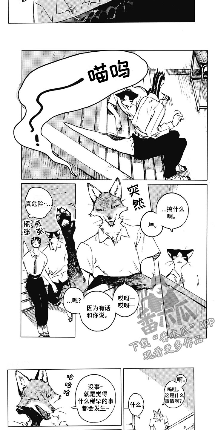 第11章：拒绝2