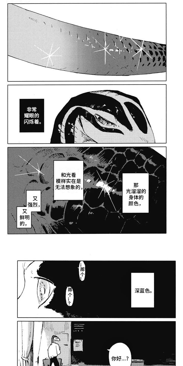 第3章：饶有兴趣0