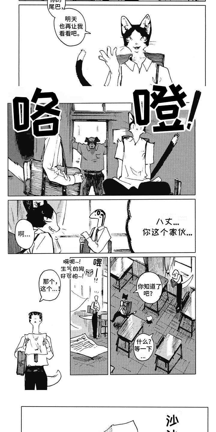 第3章：饶有兴趣4