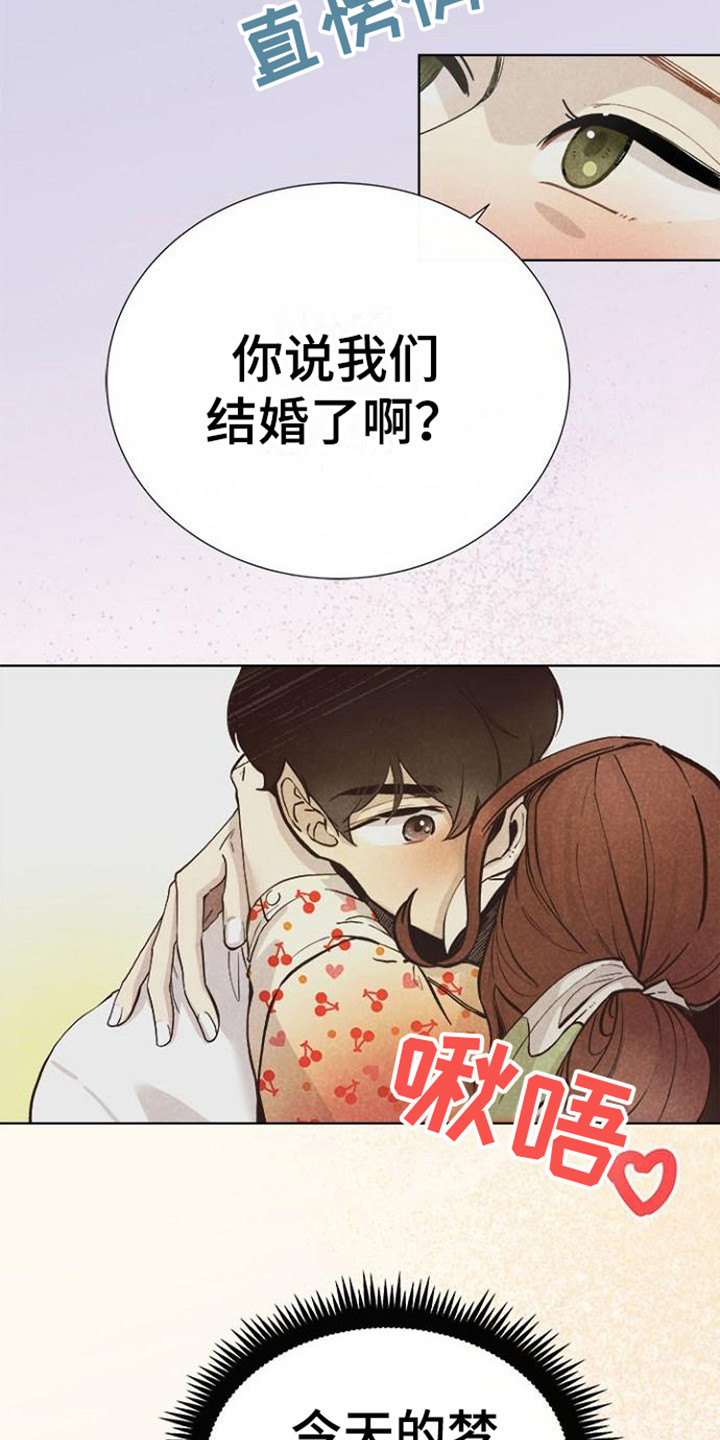 第5章： 理想型15