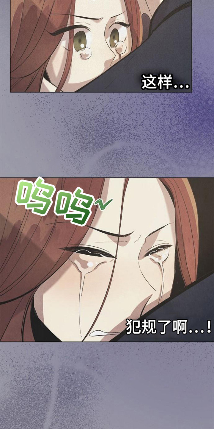 第21章：犯规了11