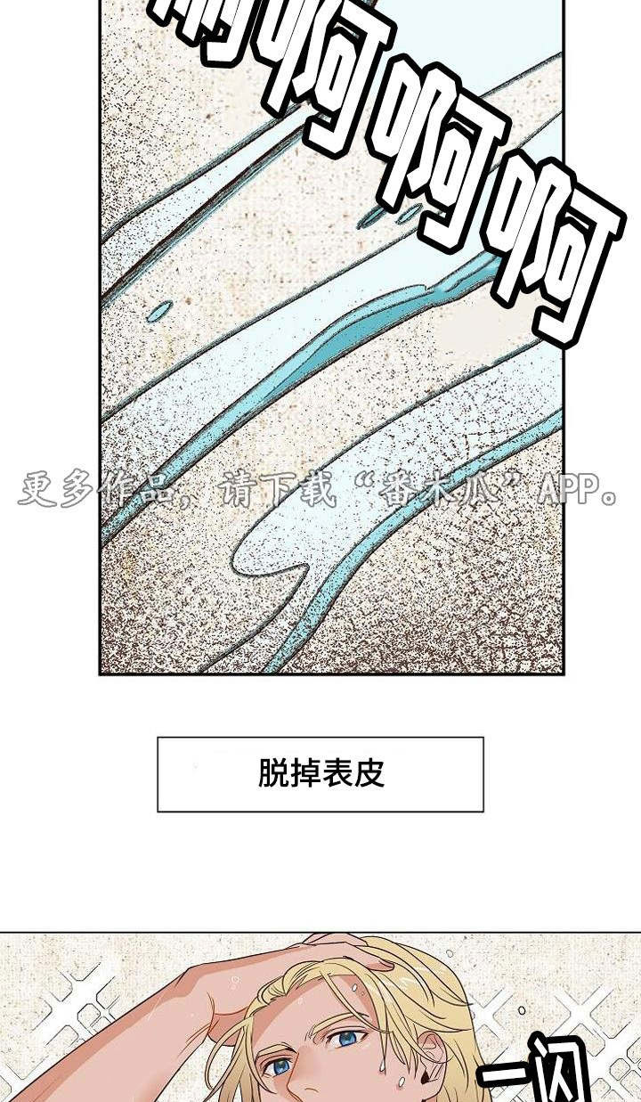 第26章：打赌14