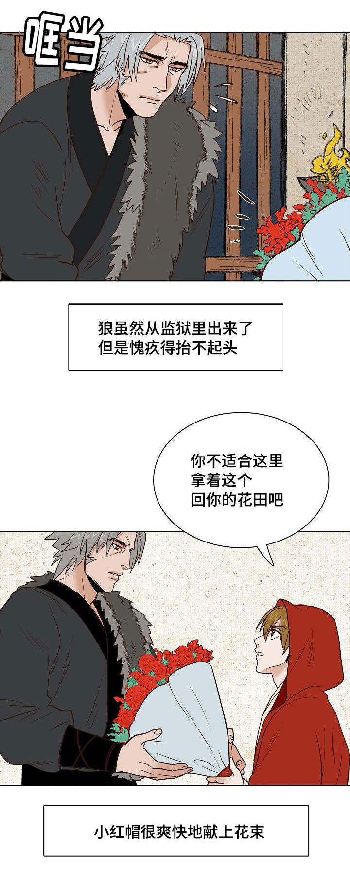 第23章：条件12
