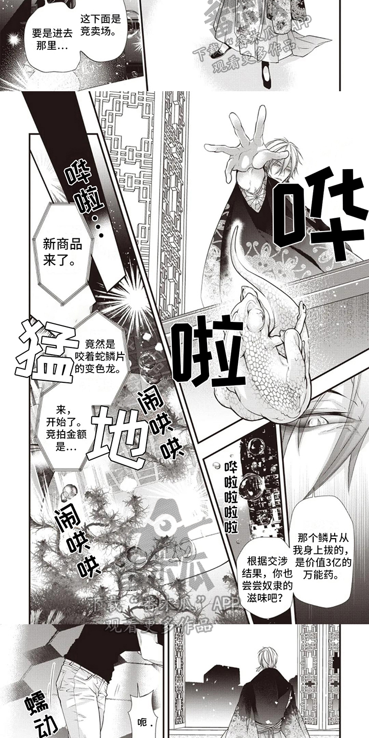 第6章：救人3