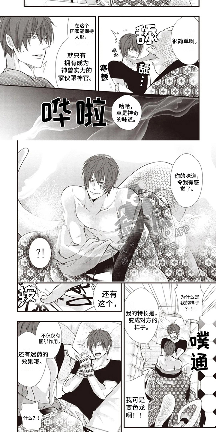 第5章：及时4