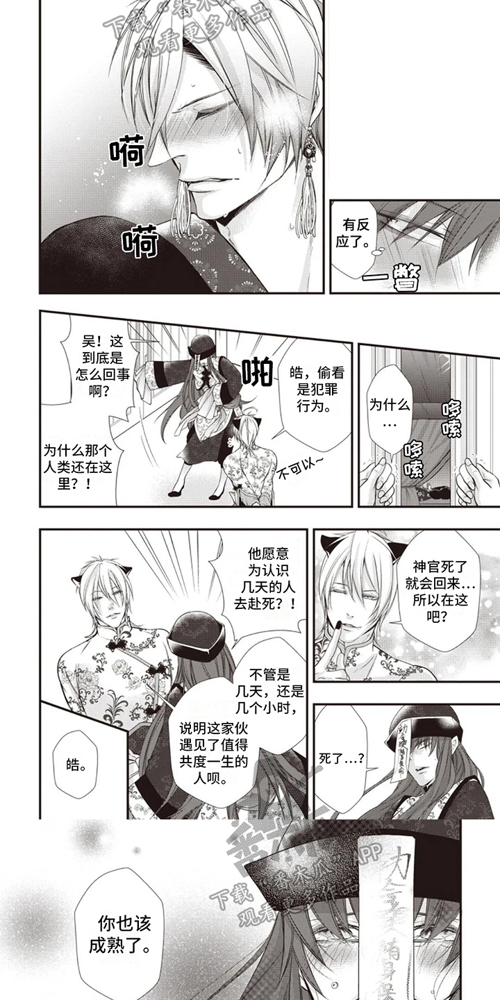 第18章：决定5