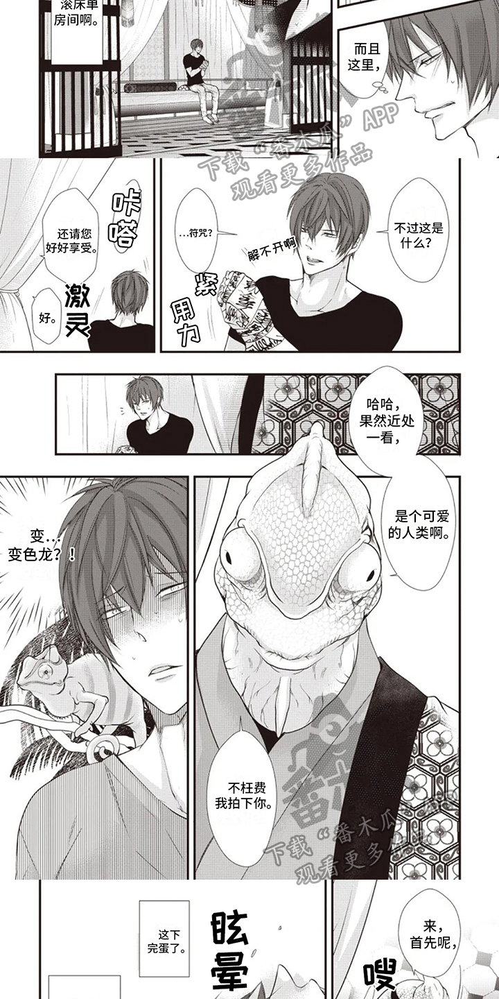 第5章：及时2
