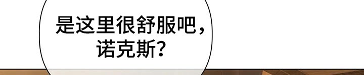 第49章：打算8