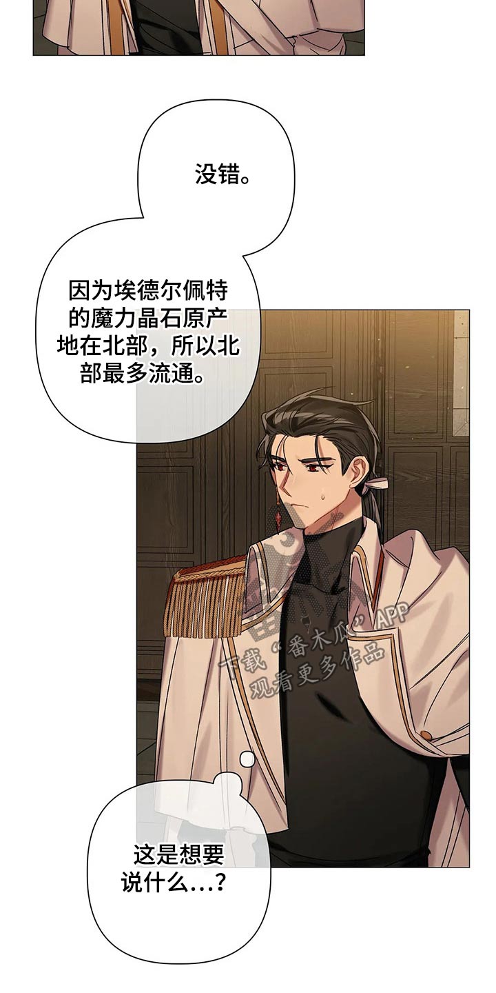 第75章：【第二季】魔力晶石17