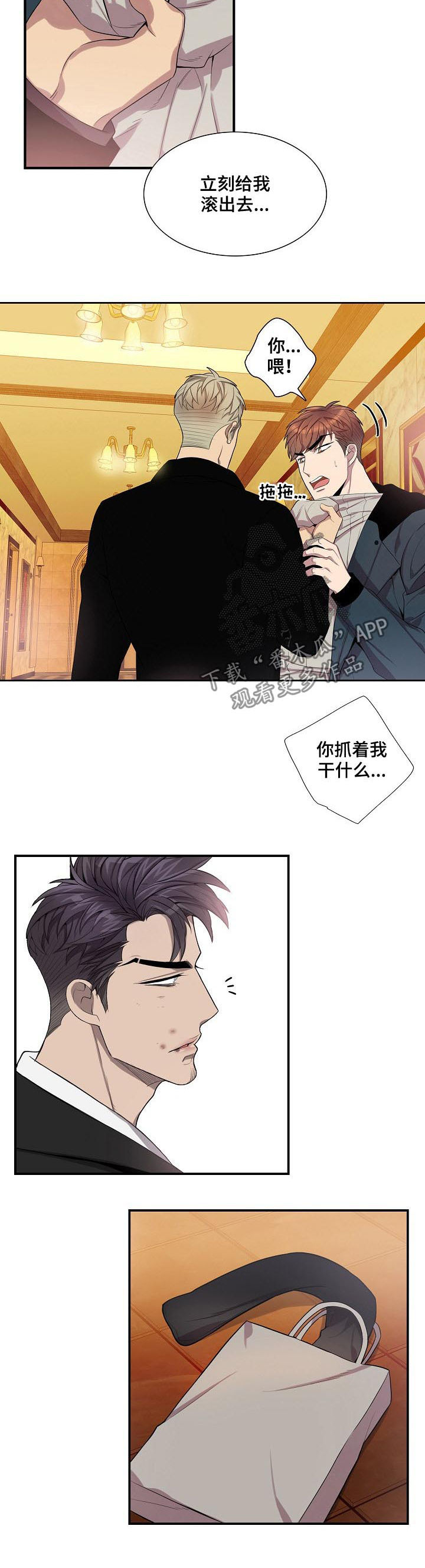 第66章：满脸的伤3