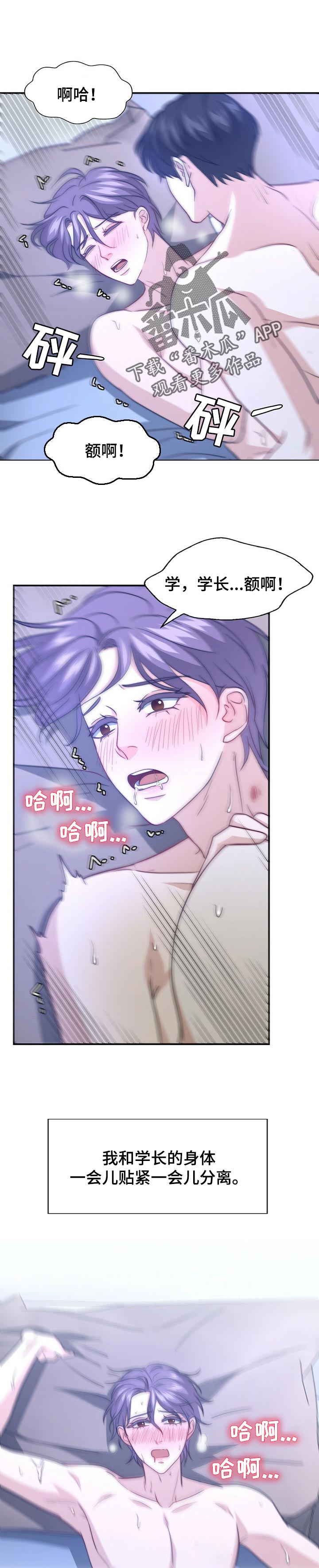 第75章：不躲了【完结】0