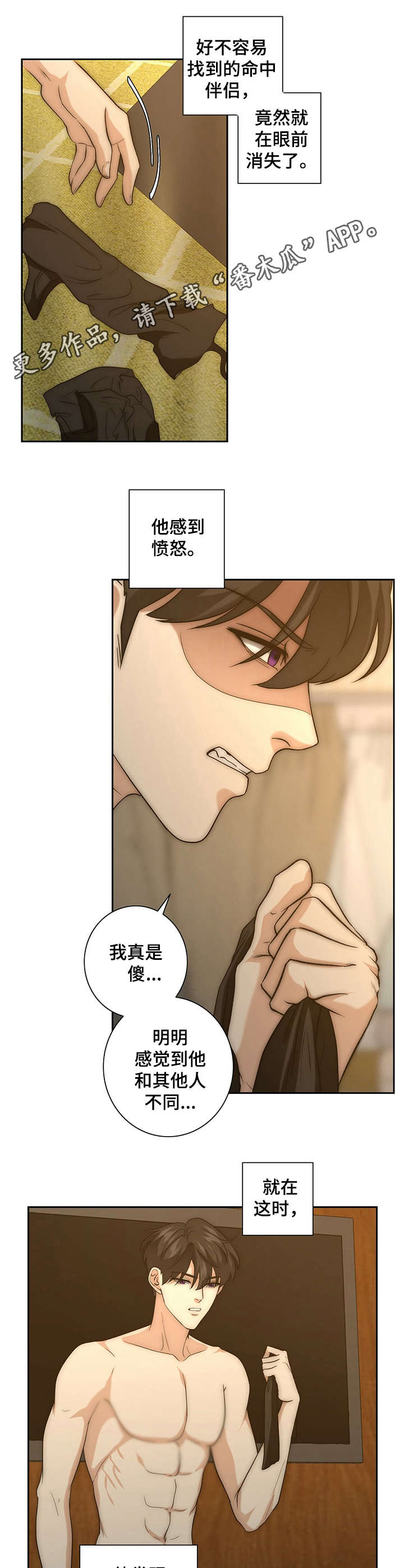 第25章：命中伴侣8