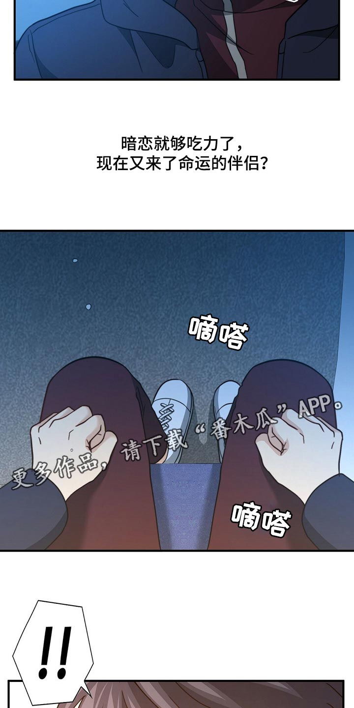 第121章：【第二季】命运的伴侣25