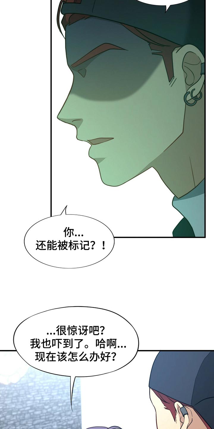 第123章：【第二季】半标记16