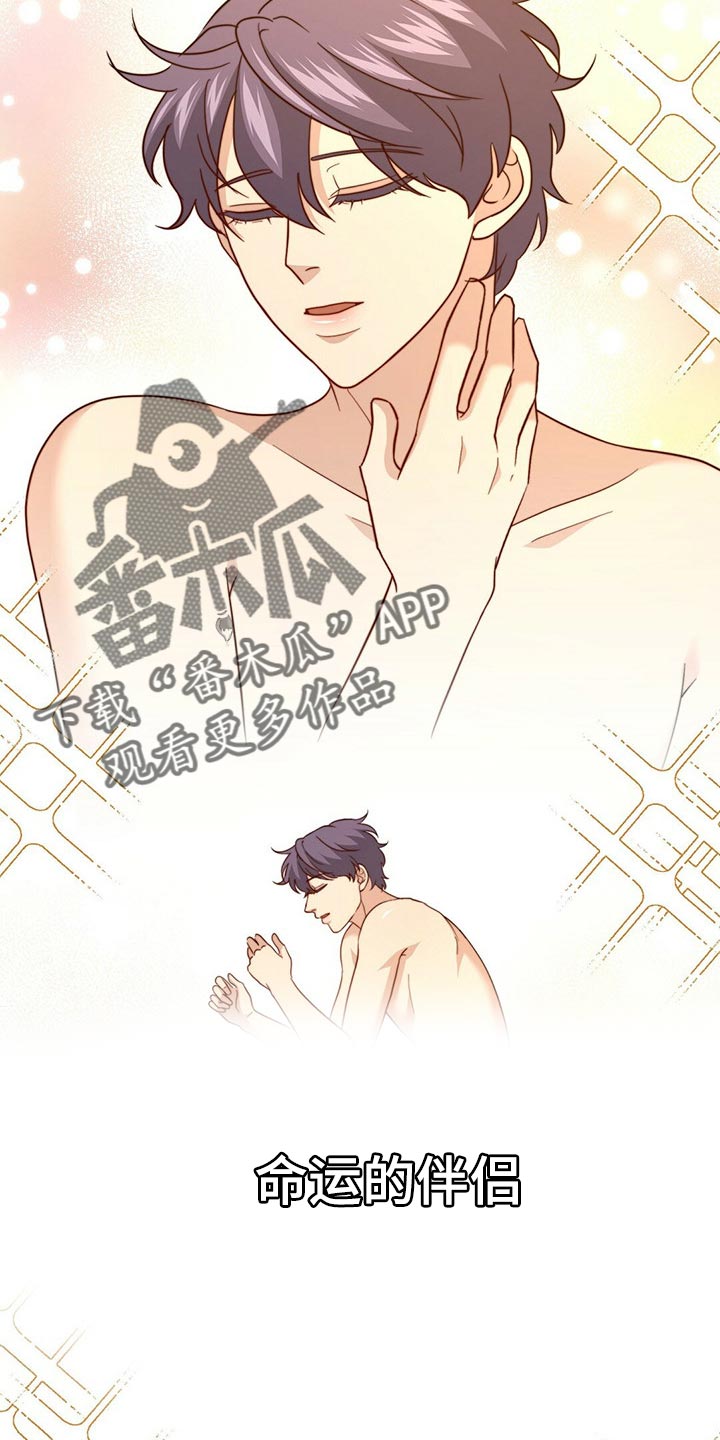 第121章：【第二季】命运的伴侣22