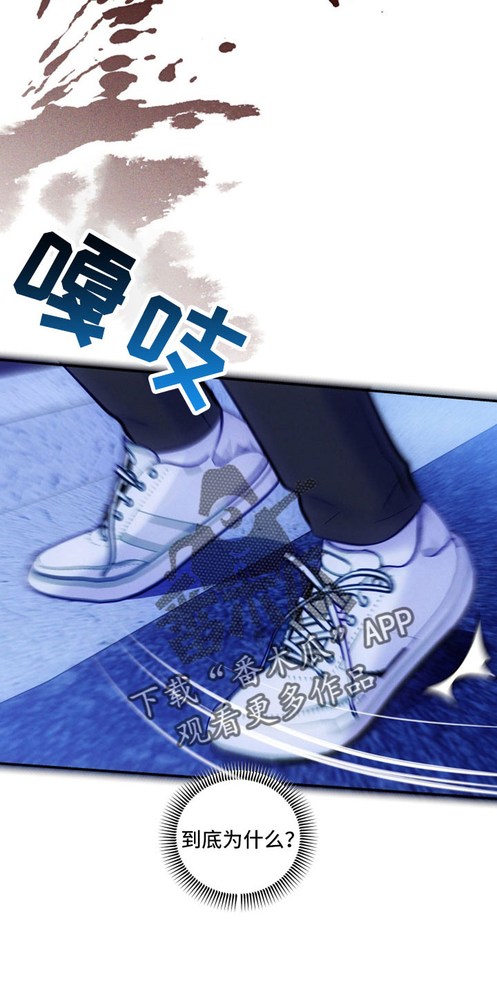 第52章：到底为什么23