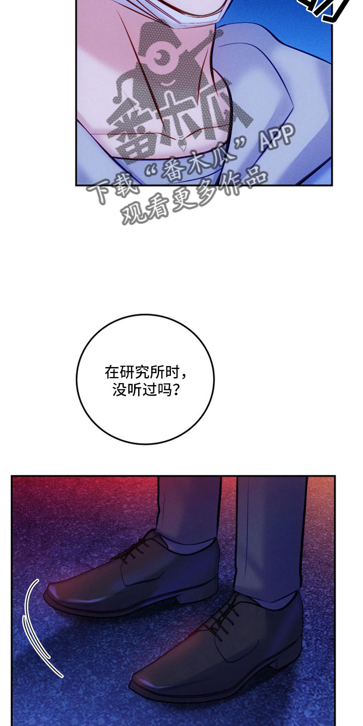 第52章：到底为什么4