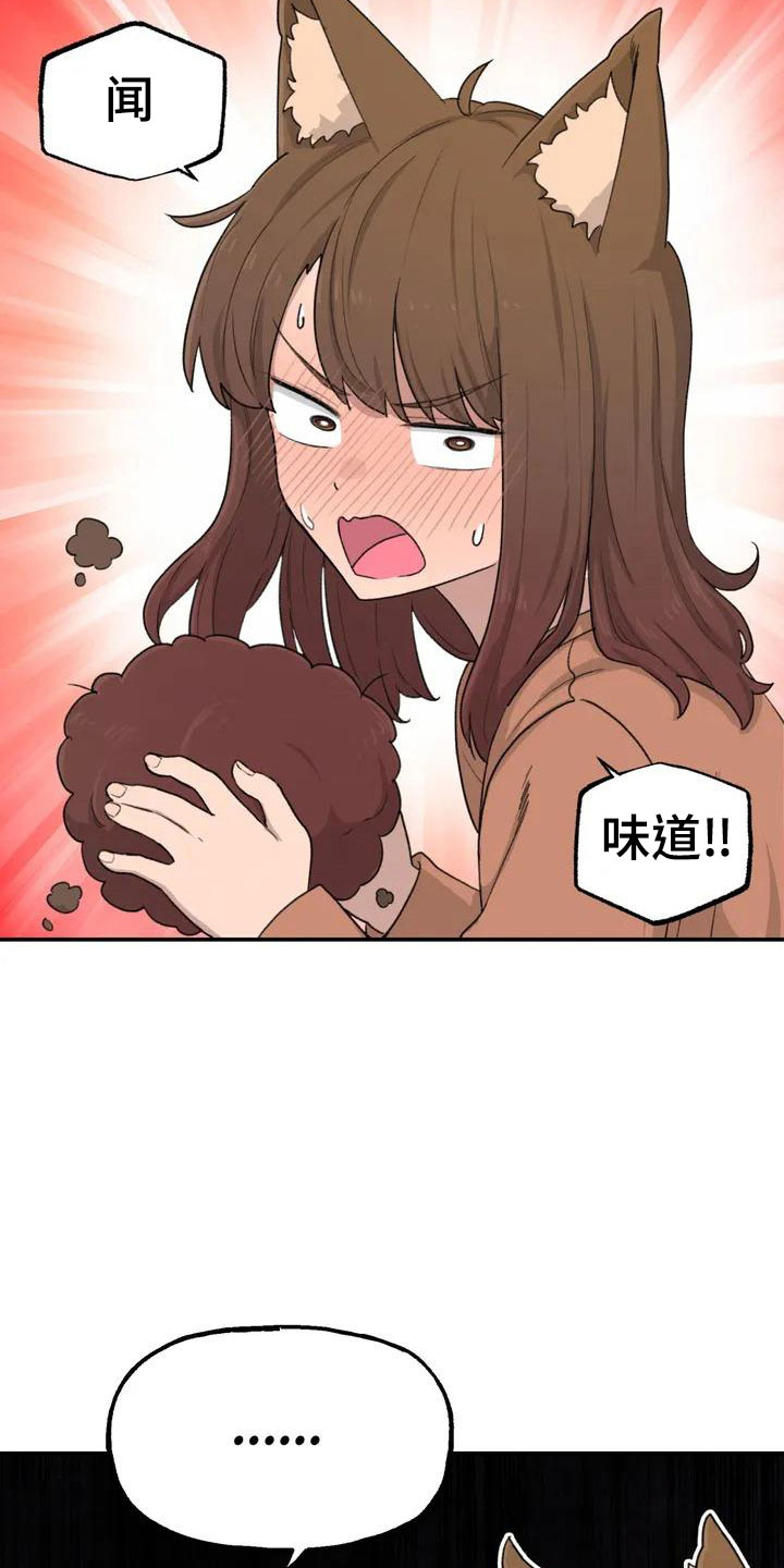 第51章：还很香20