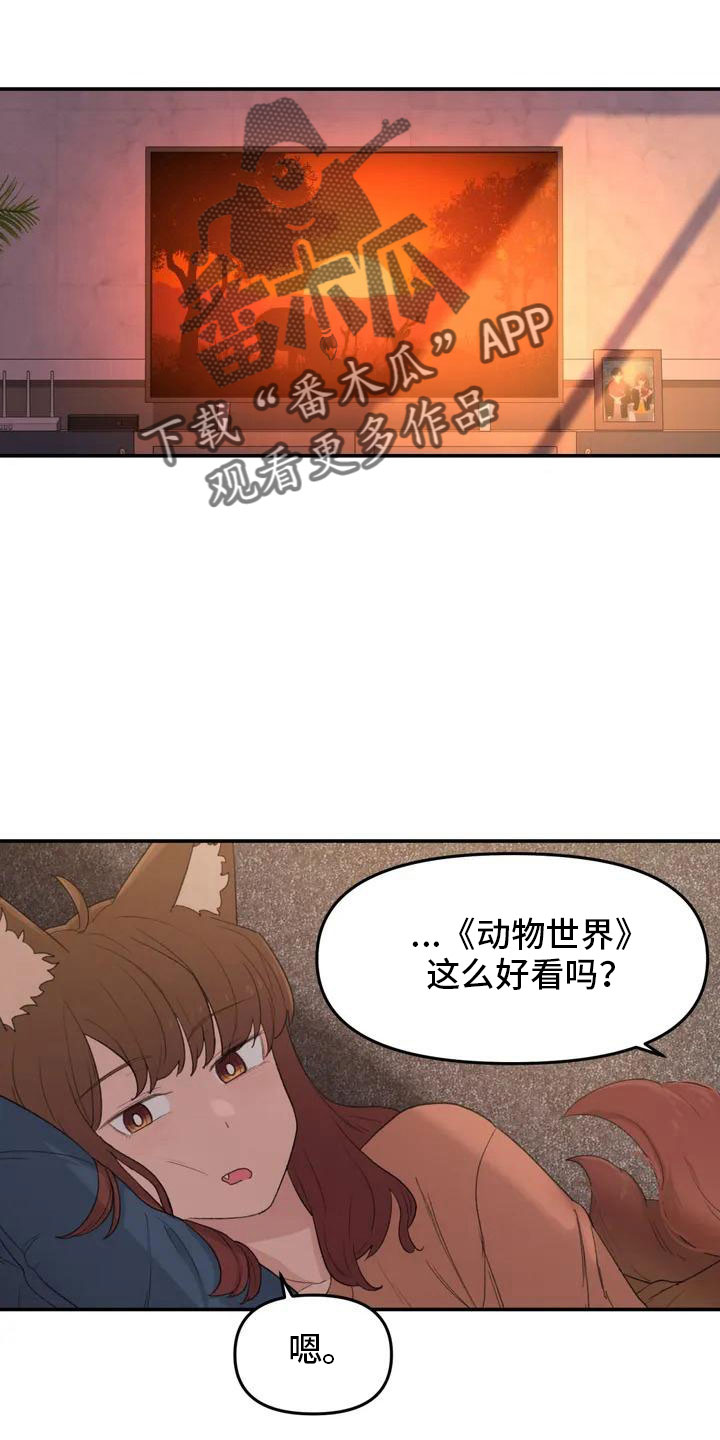 第52章：藏不起来17
